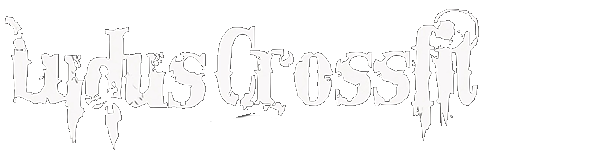 Ludus Crossfit